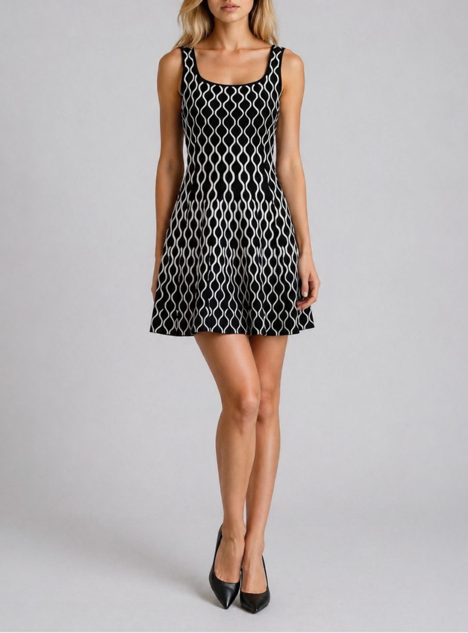 chic french dress